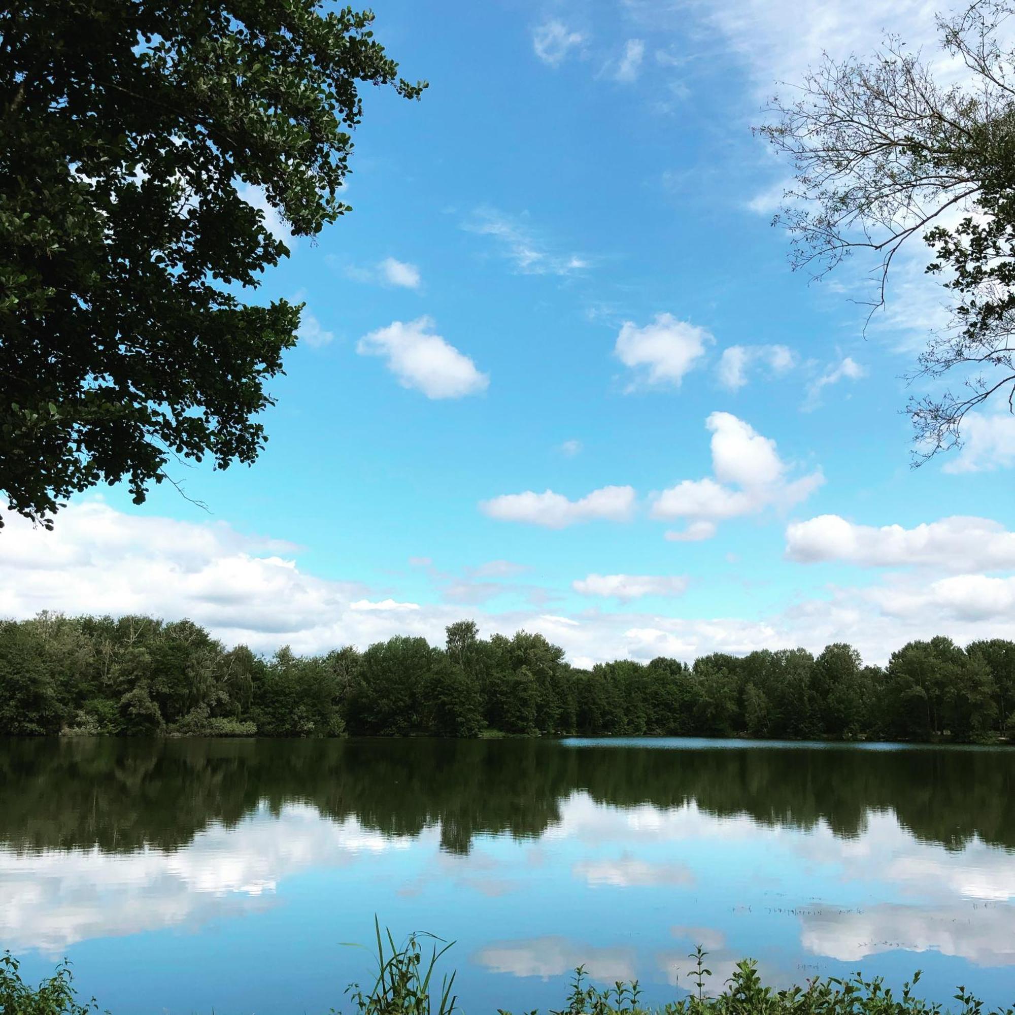 Gite De La Cote A Autreville Sur Moselle ภายนอก รูปภาพ