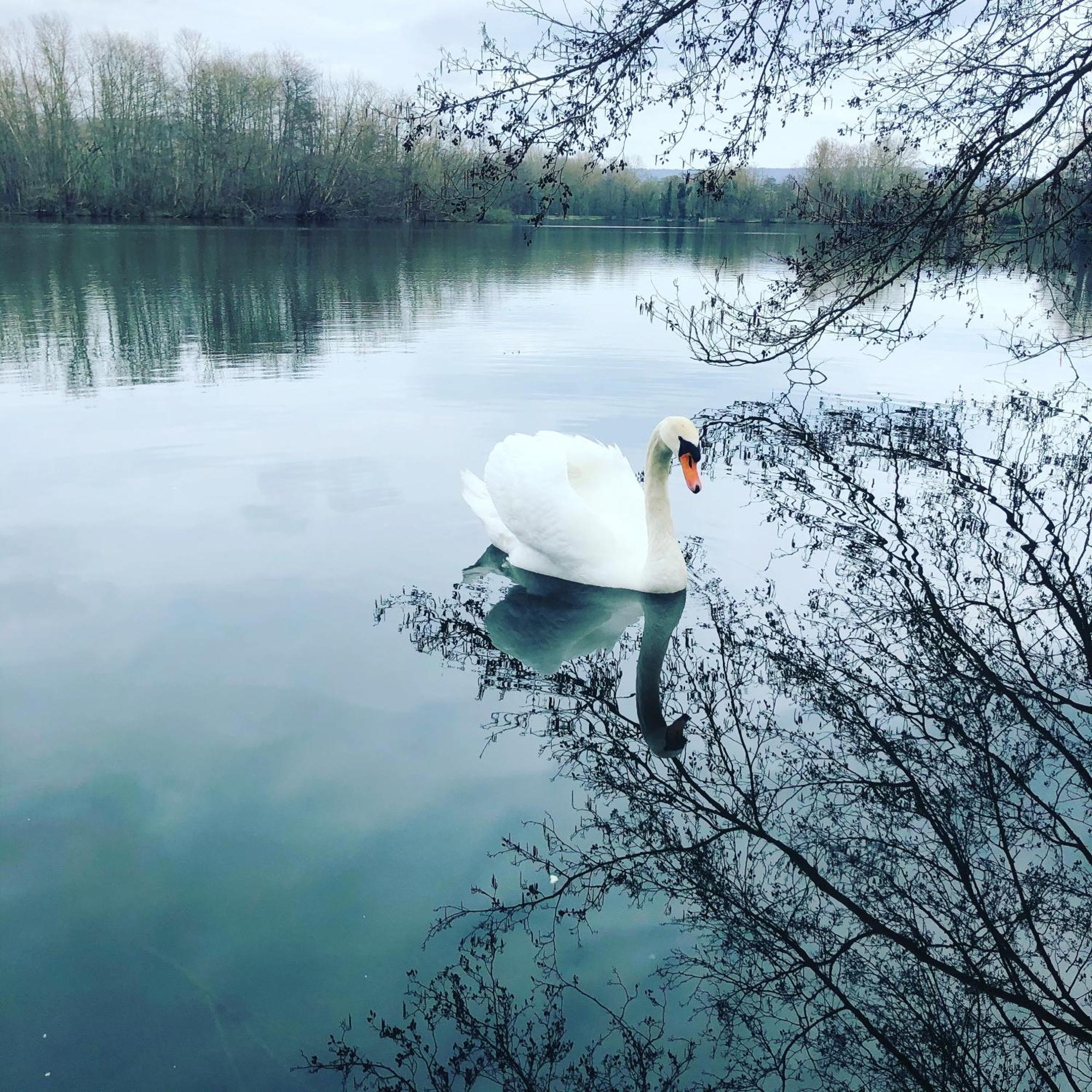 Gite De La Cote A Autreville Sur Moselle ภายนอก รูปภาพ